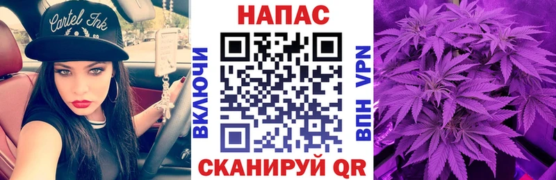 Марихуана ГИДРОПОН  Домодедово 